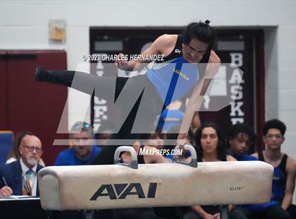 Thumbnail 1 in THSGCA State Meet (Pommel Horse-Optional) photogallery.
