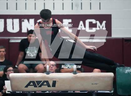 Thumbnail 3 in THSGCA State Meet (Pommel Horse-Optional) photogallery.