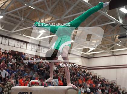 Thumbnail 1 in THSGCA State Meet (Pommel Horse-Optional) photogallery.