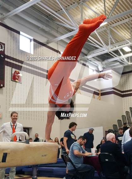 Thumbnail 3 in THSGCA State Meet (Pommel Horse-Optional) photogallery.