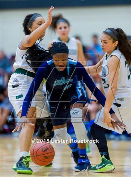 Thumbnail 1 in Reagan vs. Johnson photogallery.