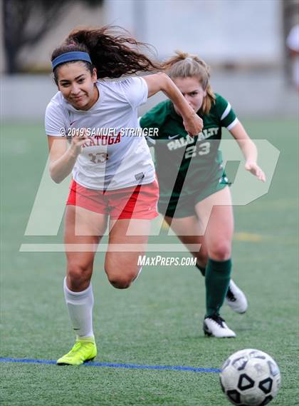 Thumbnail 1 in Saratoga @ Palo Alto photogallery.