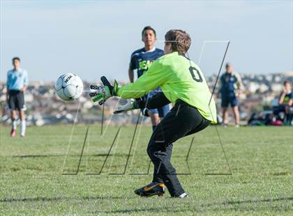 Thumbnail 1 in Palmer Ridge @ Vista Ridge photogallery.