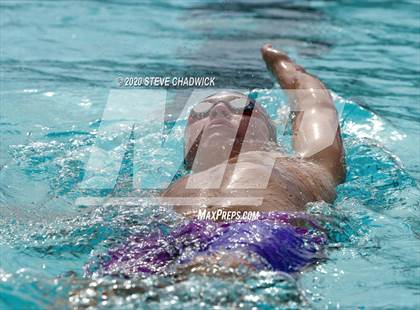 Thumbnail 2 in AIA Qualifier  (Butterfly, Back, Breast Stroke) photogallery.