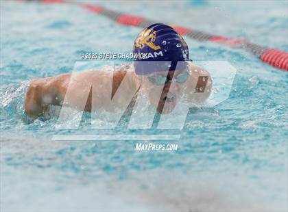 Thumbnail 3 in AIA Qualifier  (Butterfly, Back, Breast Stroke) photogallery.