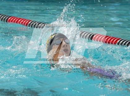 Thumbnail 3 in AIA Qualifier  (Butterfly, Back, Breast Stroke) photogallery.