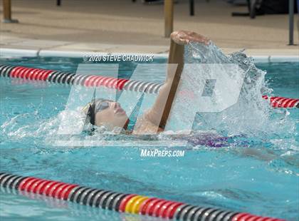 Thumbnail 1 in AIA Qualifier  (Butterfly, Back, Breast Stroke) photogallery.