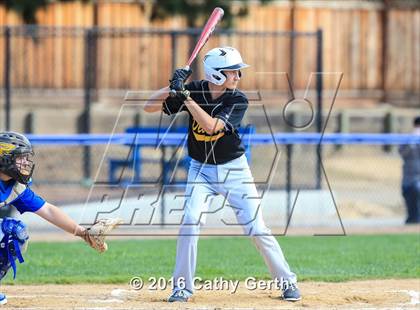 Thumbnail 3 in Del Mar @ Prospect photogallery.