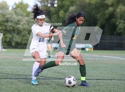 Thumbnail 3 in Middlesex vs Wardlaw Hartridge photogallery.