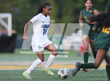 Thumbnail 3 in Middlesex vs Wardlaw Hartridge photogallery.