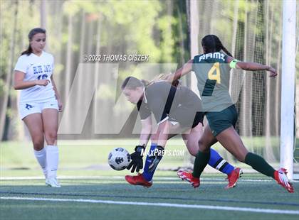Thumbnail 1 in Middlesex vs Wardlaw Hartridge photogallery.
