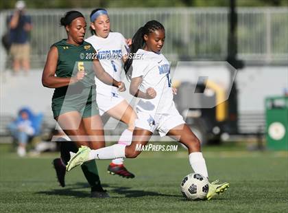 Thumbnail 3 in Middlesex vs Wardlaw Hartridge photogallery.