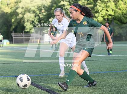 Thumbnail 3 in Middlesex vs Wardlaw Hartridge photogallery.