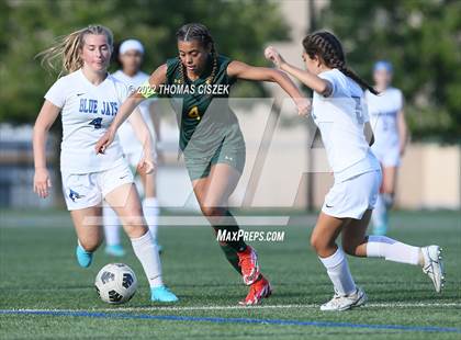 Thumbnail 1 in Middlesex vs Wardlaw Hartridge photogallery.
