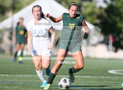 Thumbnail 1 in Middlesex vs Wardlaw Hartridge photogallery.