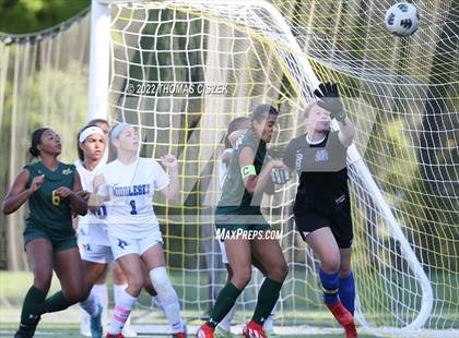 Thumbnail 1 in Middlesex vs Wardlaw Hartridge photogallery.