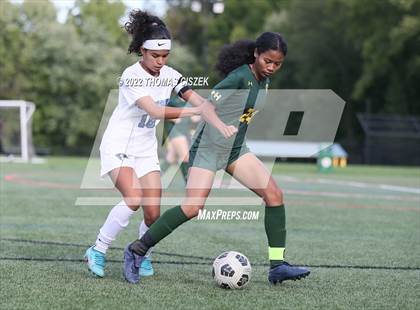 Thumbnail 2 in Middlesex vs Wardlaw Hartridge photogallery.