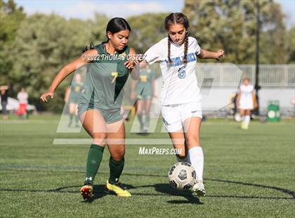 Thumbnail 2 in Middlesex vs Wardlaw Hartridge photogallery.