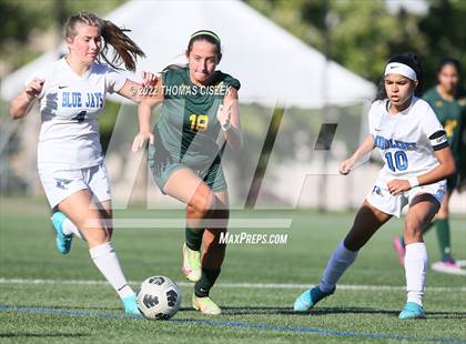 Thumbnail 1 in Middlesex vs Wardlaw Hartridge photogallery.