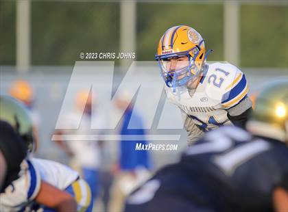 Thumbnail 3 in Burroughs @ Althoff photogallery.