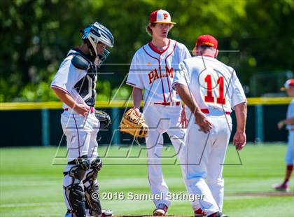 Thumbnail 2 in College Park vs. Palma (Elite 8 Classic) photogallery.