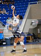 Photo from the gallery "Brandeis @ O'Connor"