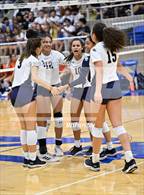 Photo from the gallery "Brandeis @ O'Connor"