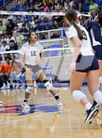Photo from the gallery "Brandeis @ O'Connor"