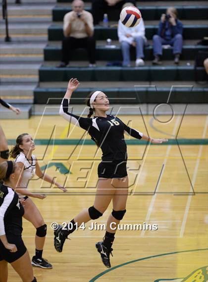 Thumbnail 1 in Schaumburg @ Fremd photogallery.