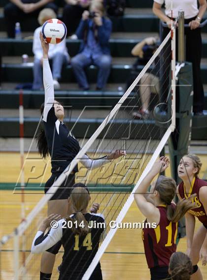 Thumbnail 3 in Schaumburg @ Fremd photogallery.