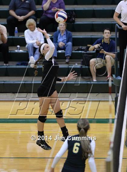 Thumbnail 3 in Schaumburg @ Fremd photogallery.