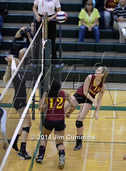 Thumbnail 3 in Schaumburg @ Fremd photogallery.
