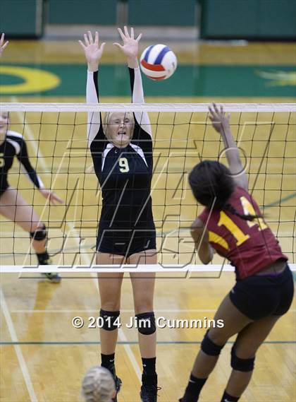 Thumbnail 2 in Schaumburg @ Fremd photogallery.