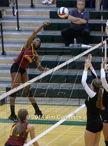 Thumbnail 1 in Schaumburg @ Fremd photogallery.