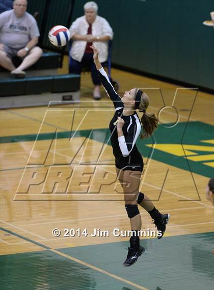 Thumbnail 2 in Schaumburg @ Fremd photogallery.