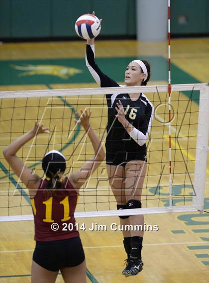 Thumbnail 3 in Schaumburg @ Fremd photogallery.