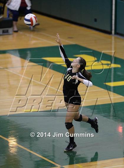 Thumbnail 1 in Schaumburg @ Fremd photogallery.