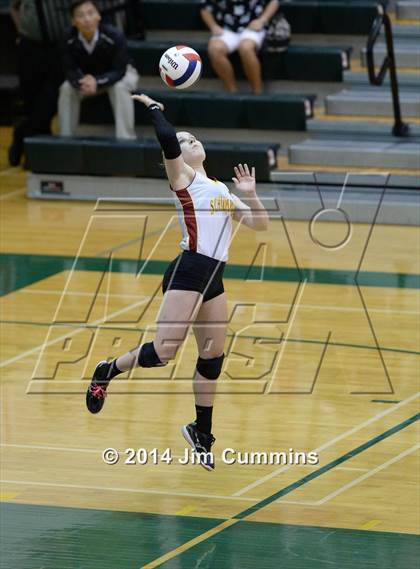 Thumbnail 1 in Schaumburg @ Fremd photogallery.