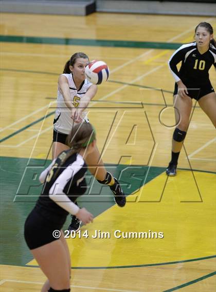 Thumbnail 2 in Schaumburg @ Fremd photogallery.