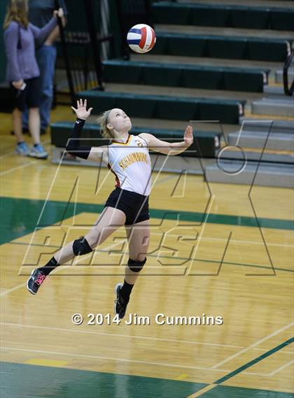 Thumbnail 2 in Schaumburg @ Fremd photogallery.