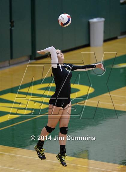 Thumbnail 2 in Schaumburg @ Fremd photogallery.