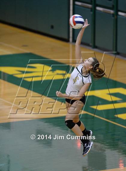 Thumbnail 1 in Schaumburg @ Fremd photogallery.