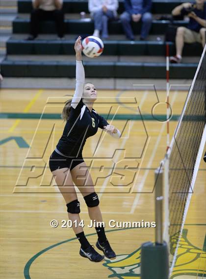 Thumbnail 3 in Schaumburg @ Fremd photogallery.