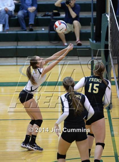 Thumbnail 3 in Schaumburg @ Fremd photogallery.