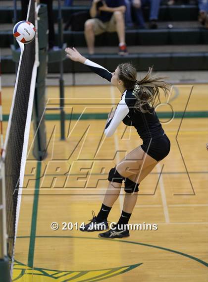 Thumbnail 1 in Schaumburg @ Fremd photogallery.
