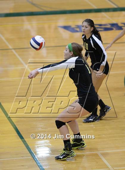 Thumbnail 2 in Schaumburg @ Fremd photogallery.