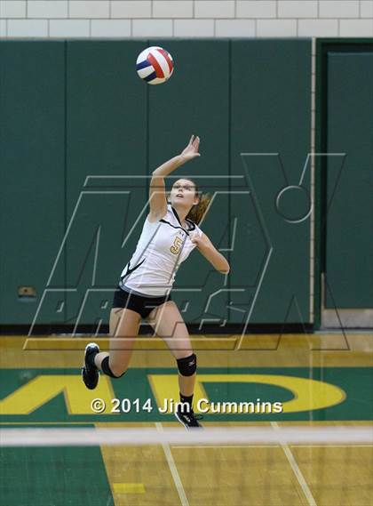 Thumbnail 2 in Schaumburg @ Fremd photogallery.