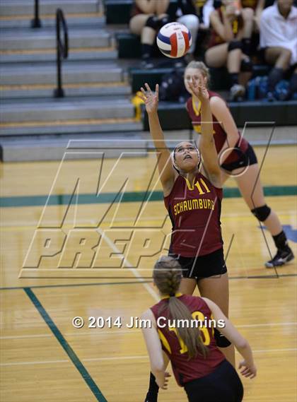 Thumbnail 3 in Schaumburg @ Fremd photogallery.