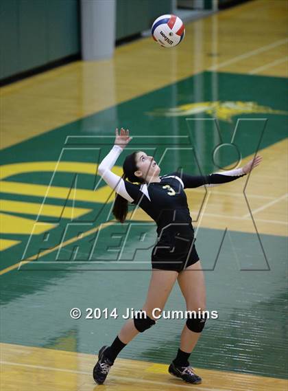 Thumbnail 1 in Schaumburg @ Fremd photogallery.
