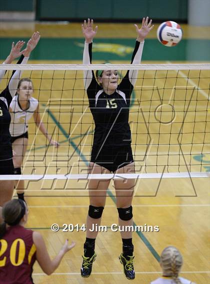 Thumbnail 1 in Schaumburg @ Fremd photogallery.
